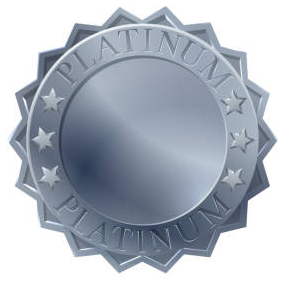 Platinum Managed Service - Per Month