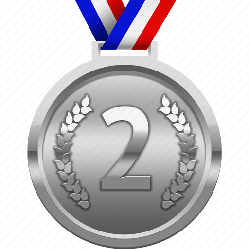 silver_medal Silver Managed Service – Per Month